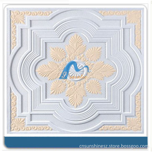 2013 Design, Ceramic& Painted Ceiling Tiles